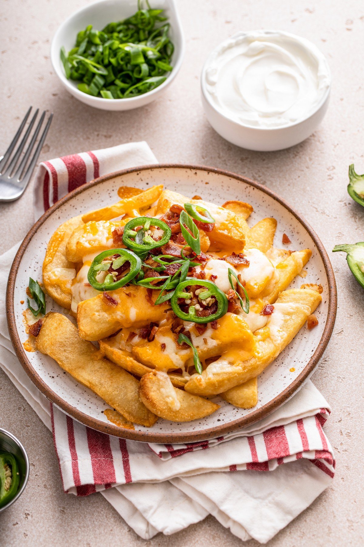 A plate of baked fries with cheese and other toppings.