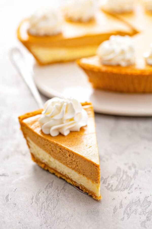 A slice of pumpkin pie cheesecake with whip cream on top.