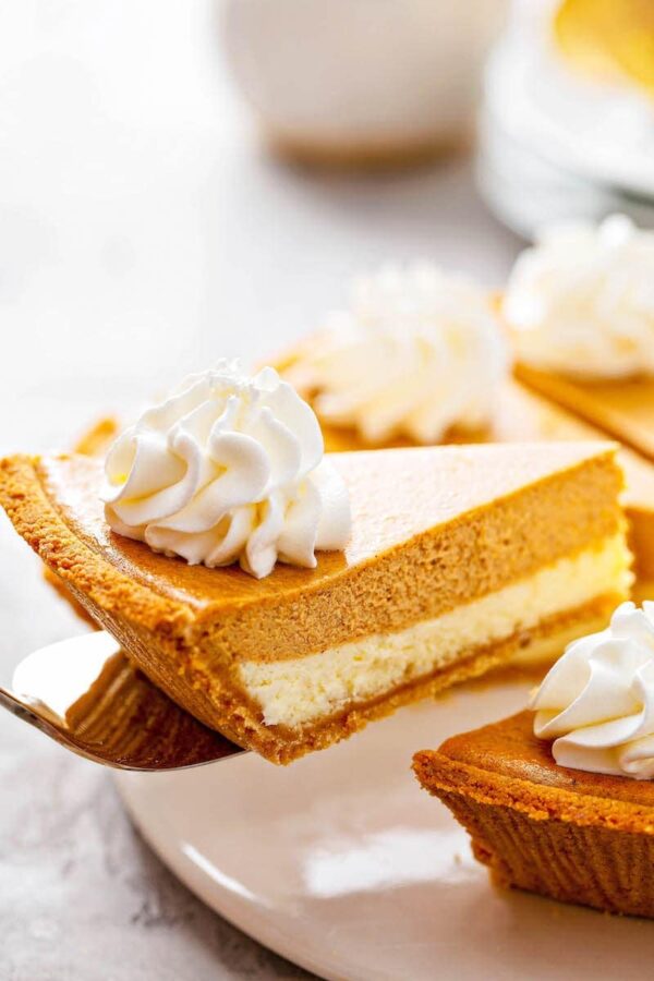 Pumpkin PIe Cheesecake slice on a sliver pie server.