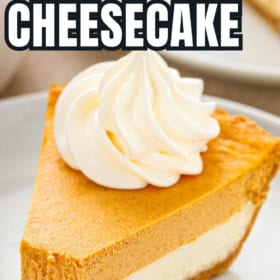 The best easy pumpkin pie cheesecake presented on a white plate.