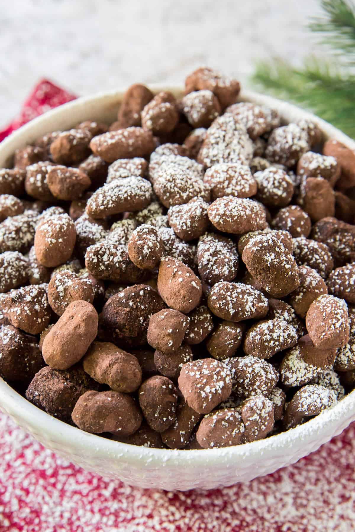 Powdered sugar dusts the top of a bowl filled with reindeer poop.
