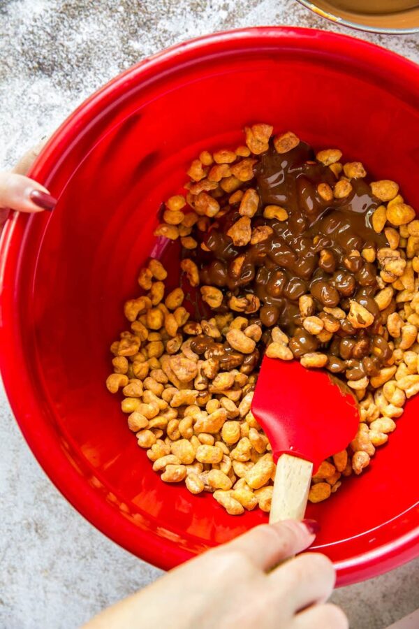 Reindeer Poop in a red bowl being mixed together.