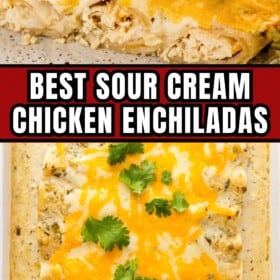 Sour cream chicken enchiladas are coated with a thick layer of melted cheese.