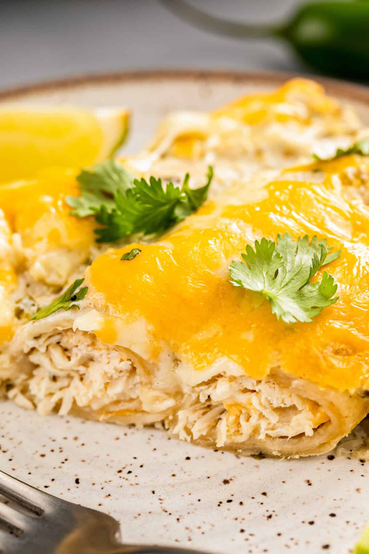 A plate of creamy white chicken enchiladas are garnished with cilantro and cut in half with a fork to show the tender shredded chicken and cheese filling.