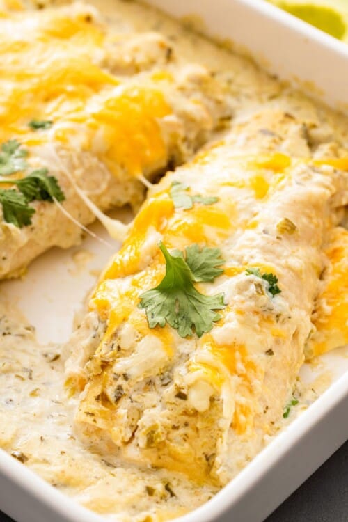 Best Sour Cream Chicken Enchiladas Recipe | The Novice Chef