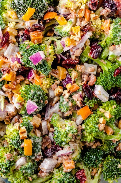 The Best Broccoli Salad With Bacon! 