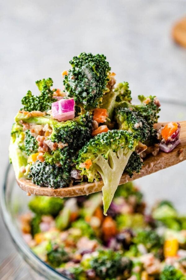 Prepared broccoli salad being spooned into a bowl. 