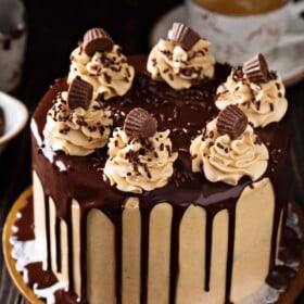 A frosted peanut butter chocolate cake is topped with sprinkles, candy and chocolate sauce.