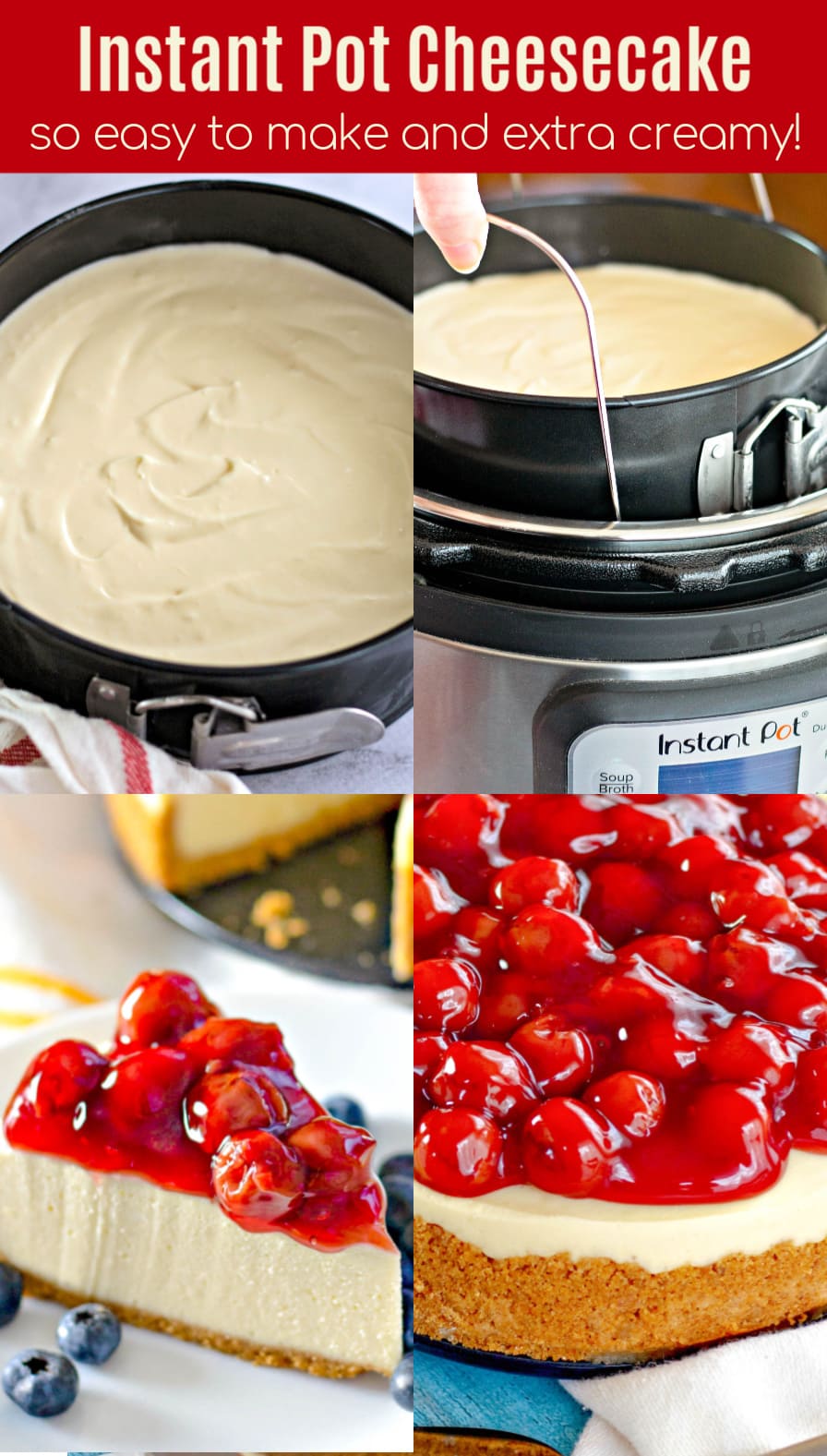 Easy Instant Pot Cheesecake Recipe The Novice Chef 1577