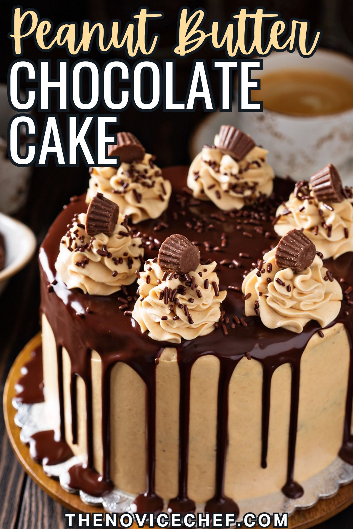 Best Chocolate Peanut Butter Cake Recipe | The Novice Chef