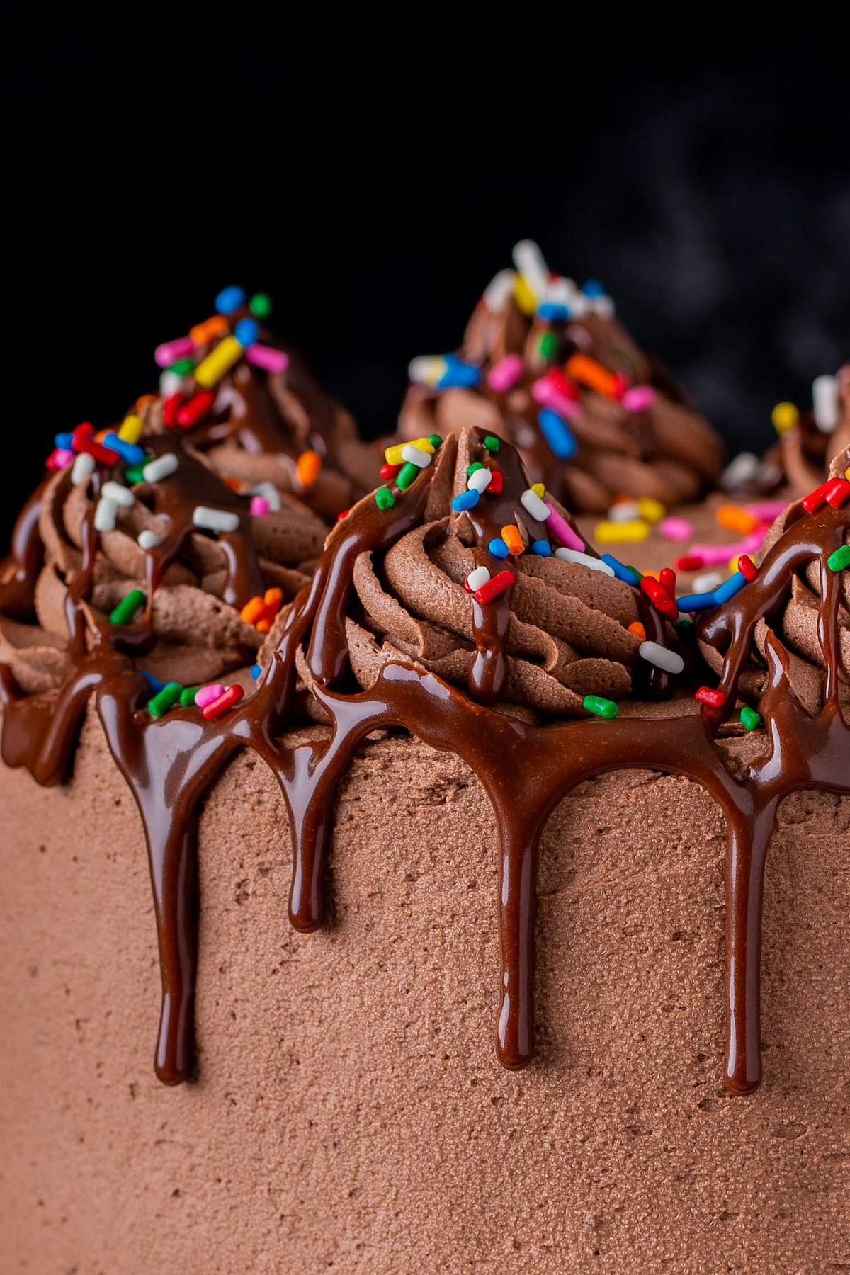 Piped chocolate frosting on a cake is decorated with rainbow sprinkles and drizzles of chocolate sauce. 