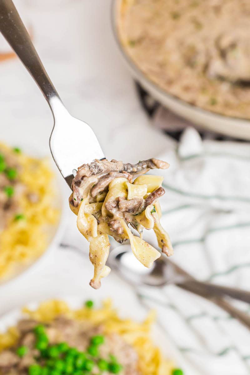 Up close image of beef and noodles on a fork.