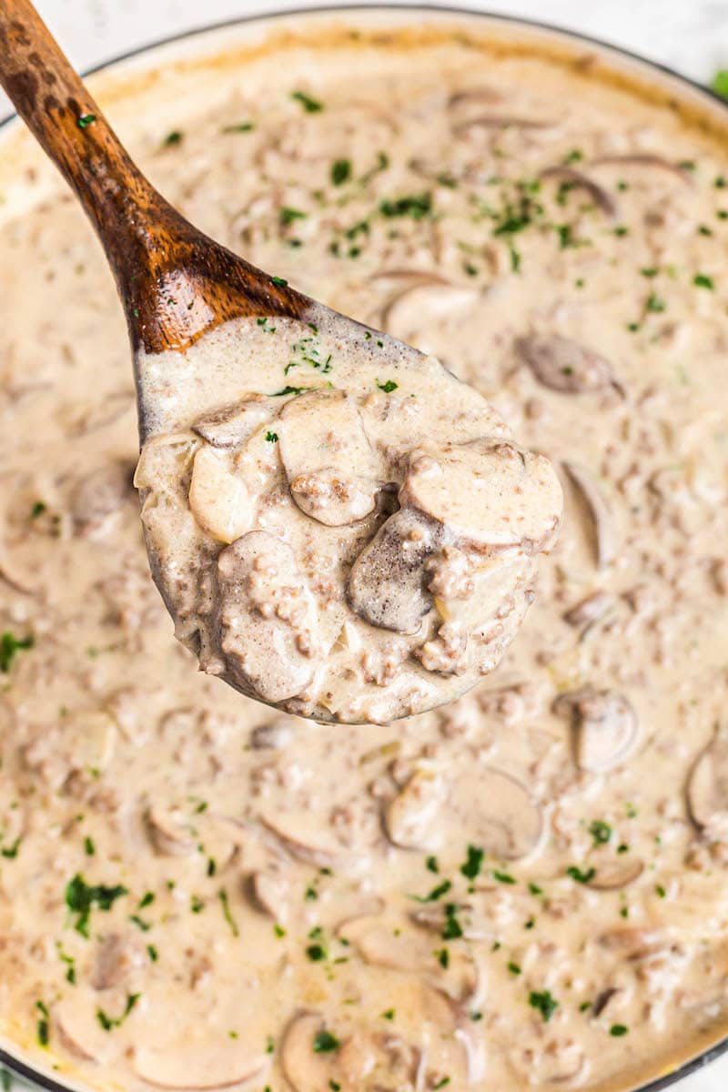 A spoonful of beef stroganoff in a pot with parsley on top.