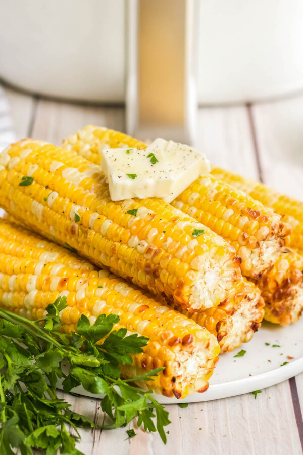 Air Fryer Corn on the Cob Recipe | The Novice Chef