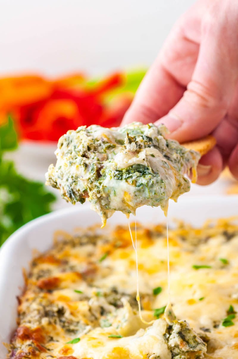 Spinach dip on a cracker above the pan of cheesy spinach dip.