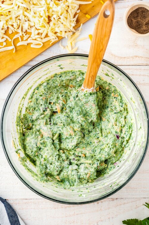 Easy Cheesy Hot Spinach Dip Recipe The Novice Chef