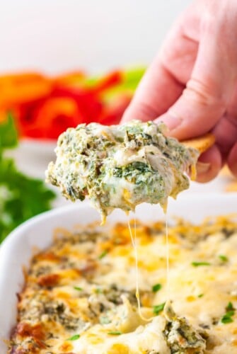 A cracker is lifting a small portion of creamy spinach dip from the baking dish.