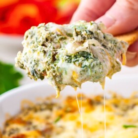 A single cracker is being lifted with a generous portion of cheesy spinach dip on it.