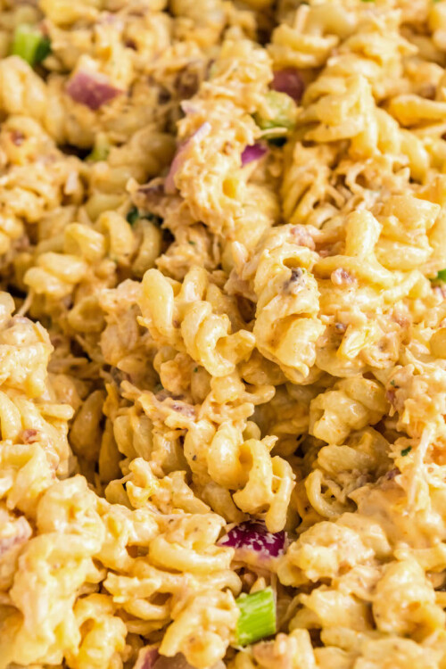 Creamy Chicken Pasta Salad Recipe | The Novice Chef