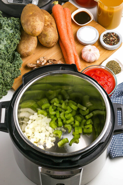 Instant Pot Vegetable Soup | A Hearty Vegetarian Recipe!