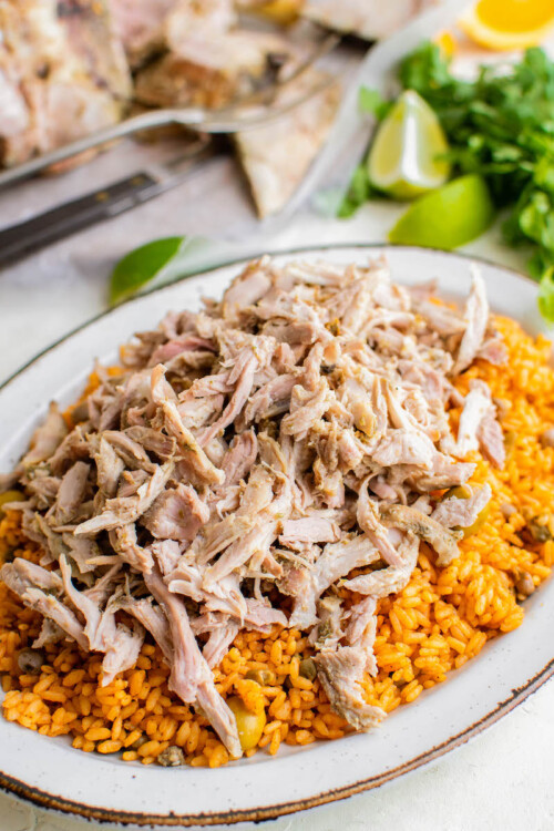 The BEST Pernil Recipe The Novice Chef