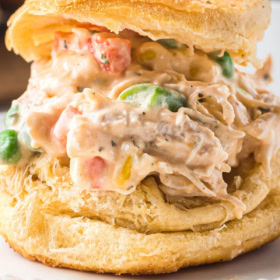 Biscuit Chicken Pot Pie on a white plate with filling coming out.