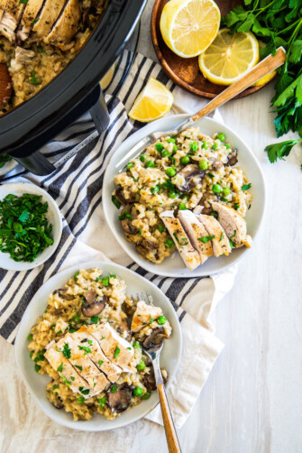 Crockpot Chicken and Rice Recipe | The Novice Chef