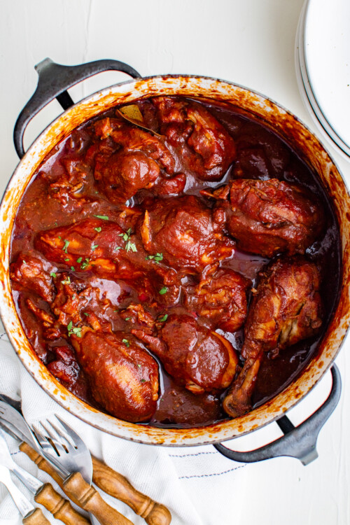 Mexican Chicken Adobo Recipe (Pollo En Adobo) | The Novice Chef