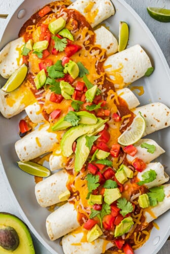 Adobo chicken enchiladas in a baking dish.