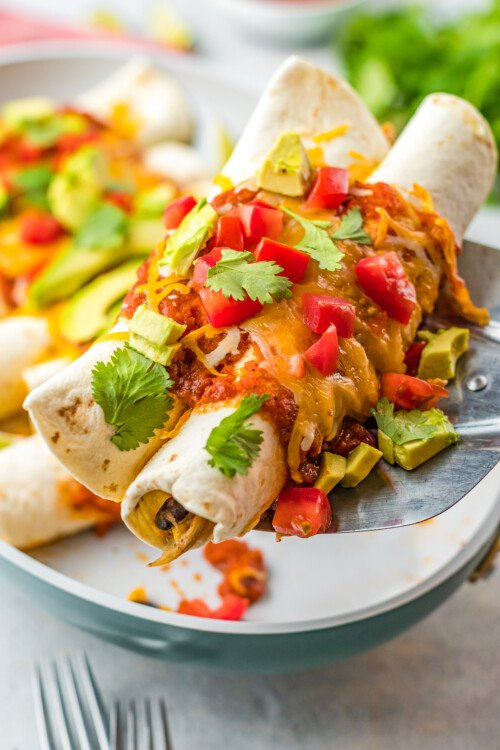 Chipotle Adobo Chicken Enchiladas | The Novice Chef