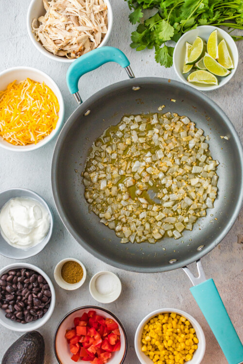 Chipotle Adobo Chicken Enchiladas The Novice Chef