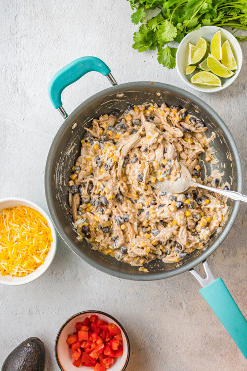 Chipotle Adobo Chicken Enchiladas The Novice Chef