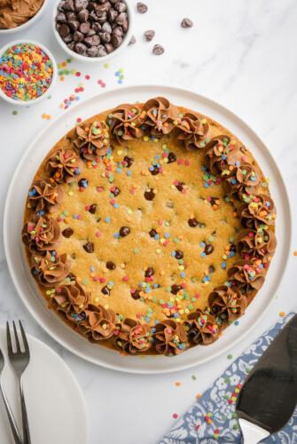 The BEST Chocolate Chip Cookie Cake | The Novice Chef