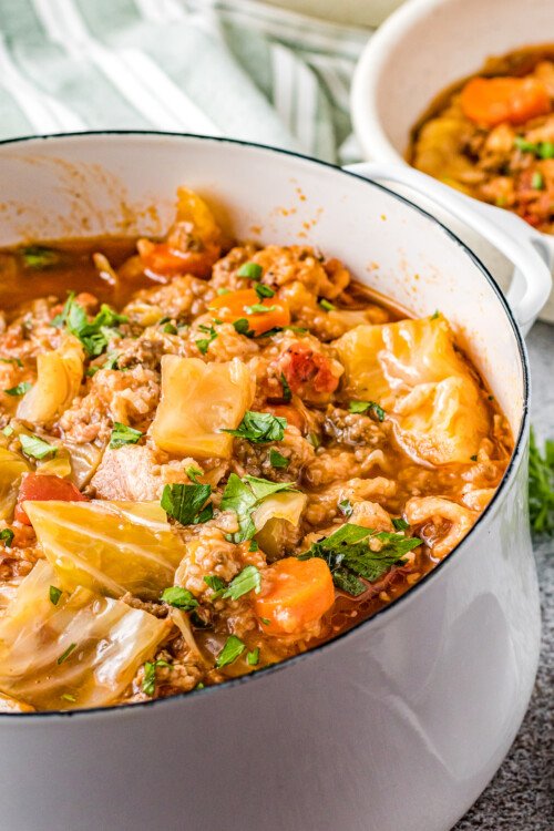 Easy Crockpot Cabbage Roll Soup | The Novice Chef