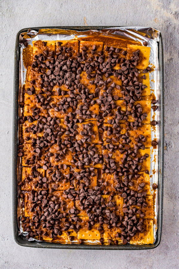 A tray of saltine cracker toffee sprinkled with semisweet chocolate chips.