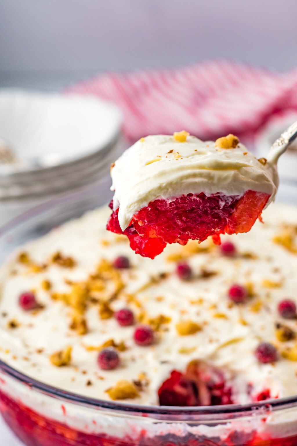 Cranberry Jello Salad With Cream Cheese Topping | The Novice Chef