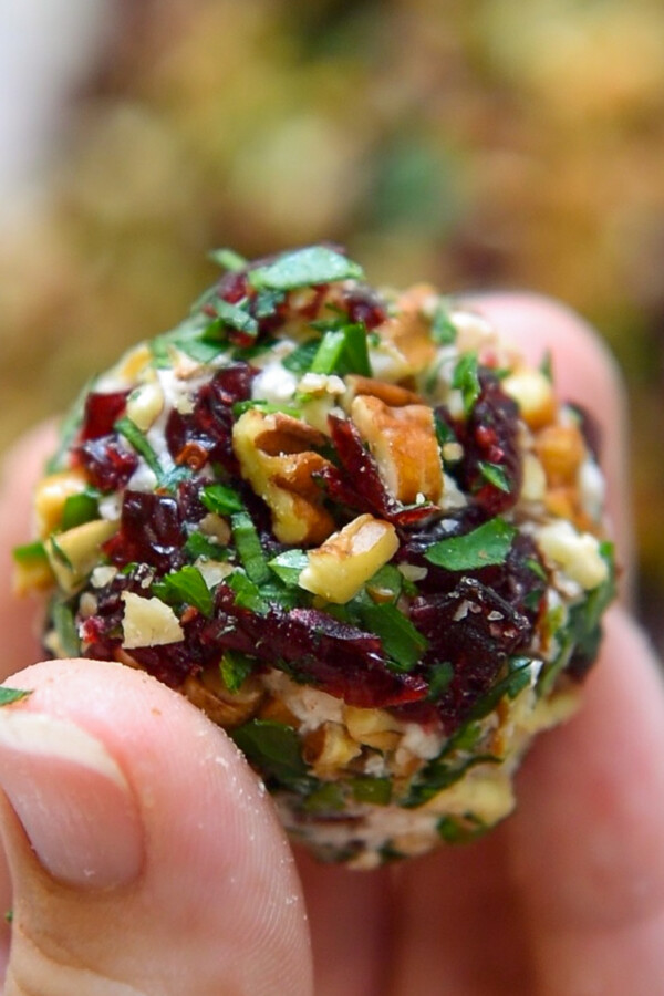 Cranberry Pecan Goat Cheese Truffles Cranberry Cheese Balls Appetizer