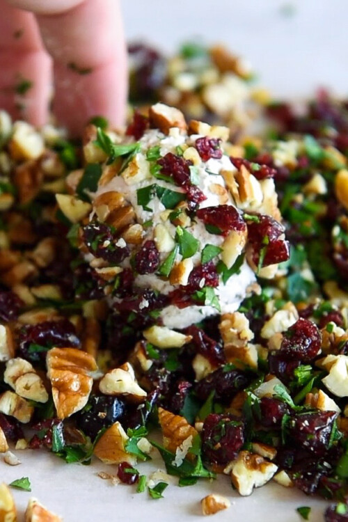 Cranberry Pecan Goat Cheese Truffles Cranberry Cheese Balls Appetizer