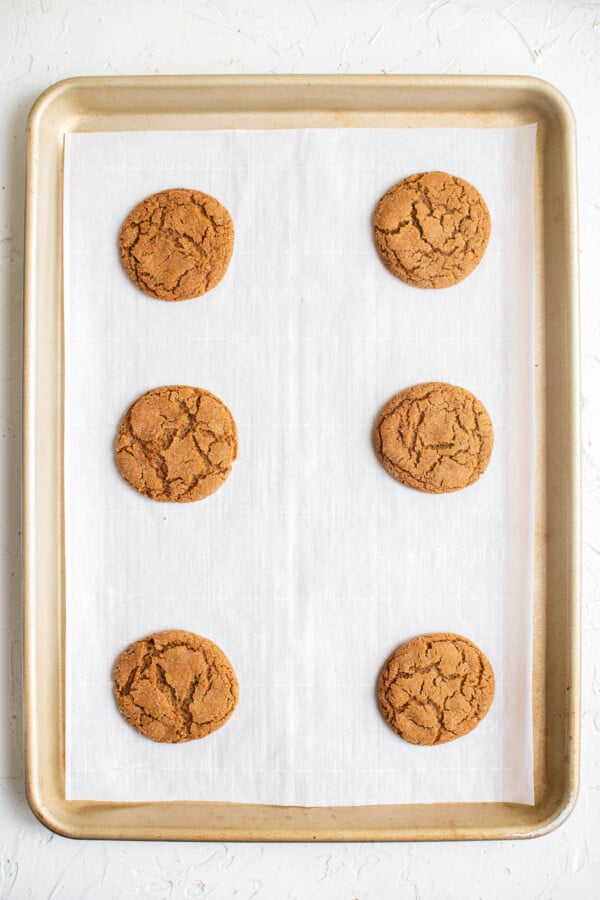 Freshly baked gingersnap cookies on parchment paper on a cookie sheet.