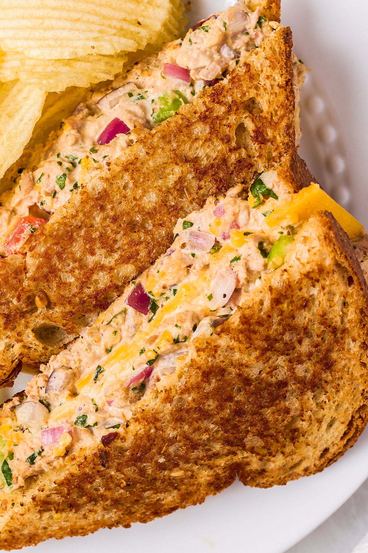Close-up shot of two tuna melt sandwich halves, showing the texture of the filling.