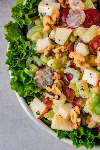 Creamy Waldorf Salad Recipe | The Novice Chef