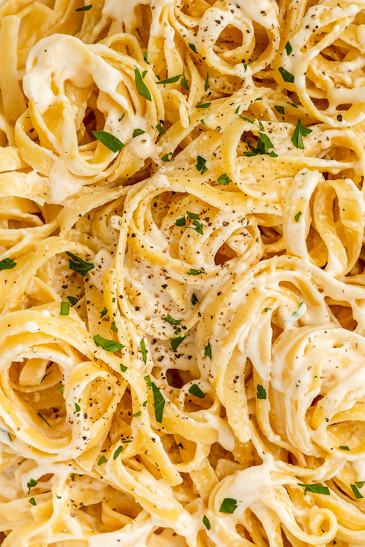 Close-up shot of fettuccine in cream cheese alfredo sauce, to show texture.