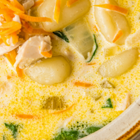 Up close image of chicken and gnocchi soup in a bowl with carrots and gnocchi.