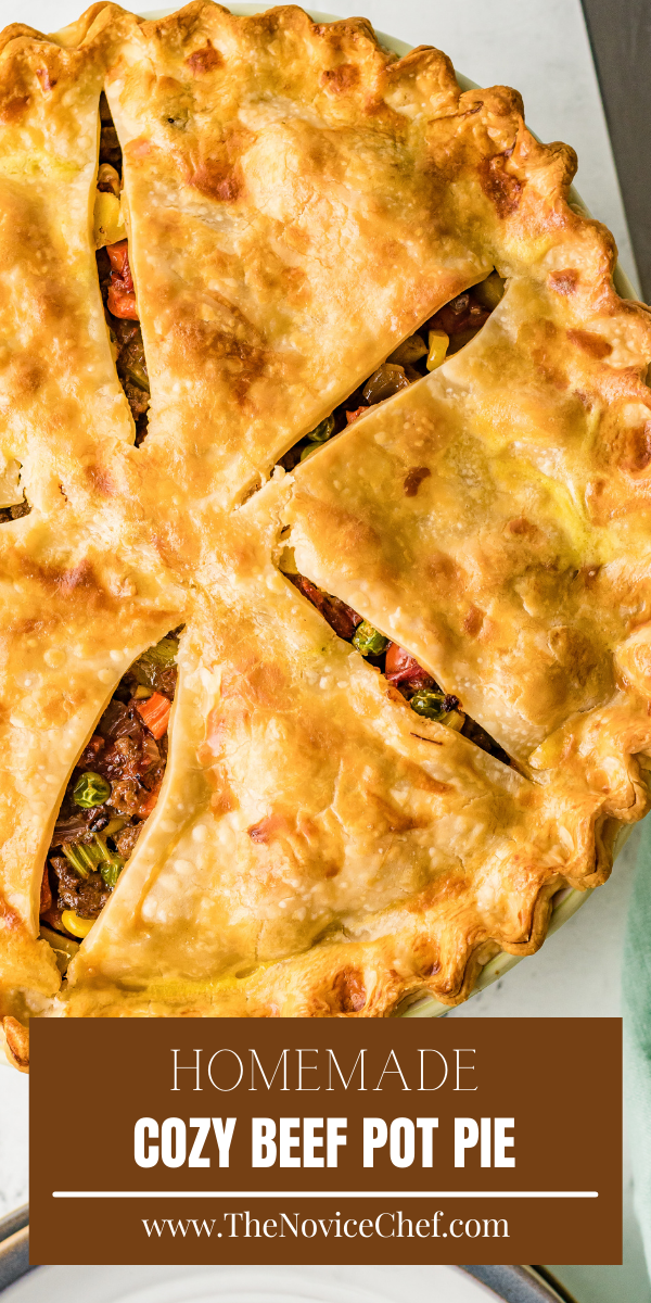 Easy Beef Pot Pie Recipe The Novice Chef