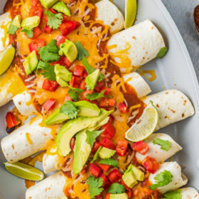 Adobo enchiladas in a pan with adobo sauce, cheese and fresh salsa on top.