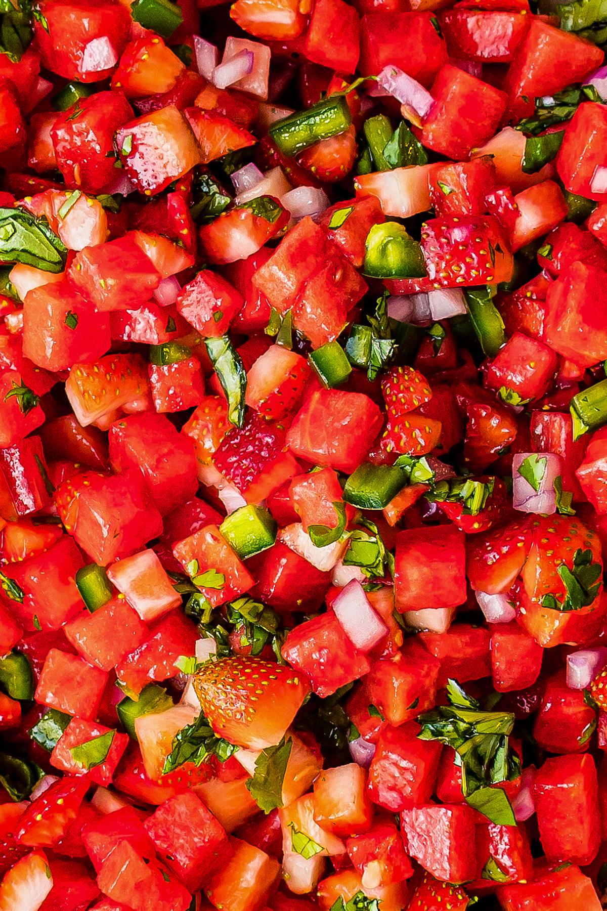 Close-up shot of fruit salsa, showing the texture of the watermelon, strawberries, and other ingredients.