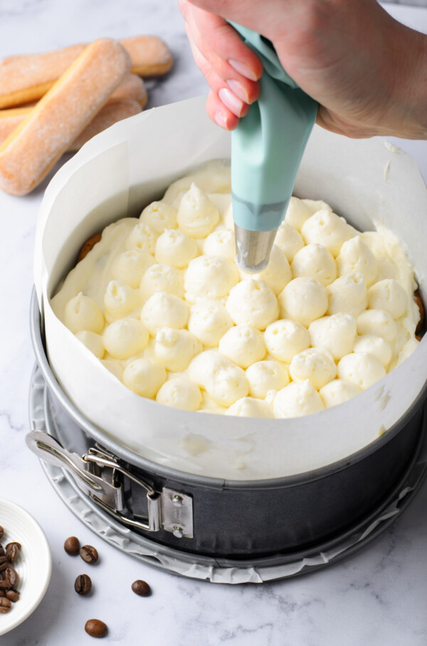 Mascarpone-cream-cheese filling being piped onto the top of a tiramisu cheesecake.