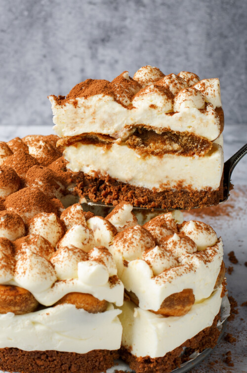 Tiramisu Cheesecake Recipe | The Novice Chef