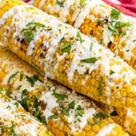 Mexican Street Corn stacked on top of each other on a white plate with cilantro and cotija cheese.