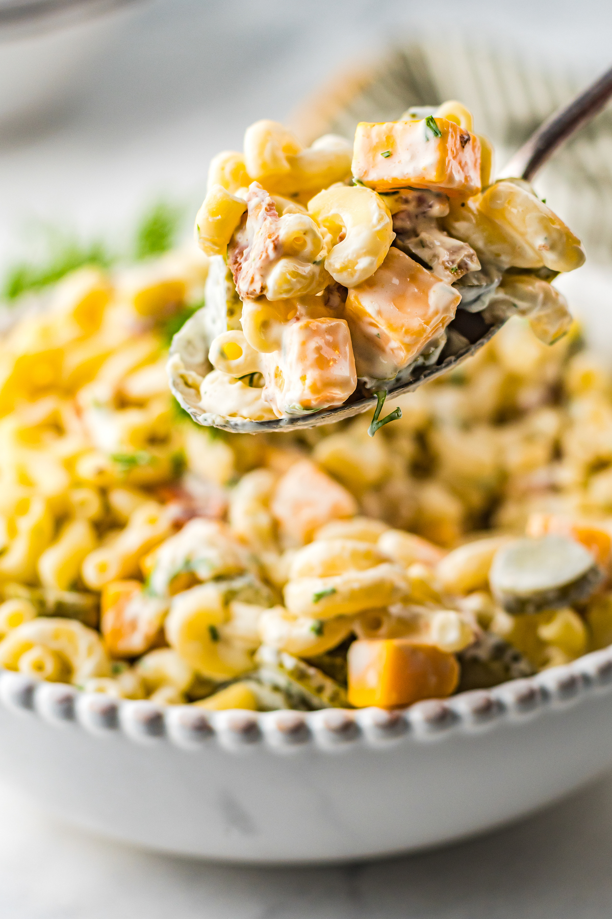 A bowl of creamy pasta with a spoonful being lifted toward the camera. The sala